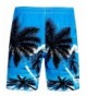 Brand Original Men's Swim Board Shorts