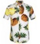 SSLR Pineapple Button Hawaiian Sleeve