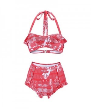 Waisted Bikini Ruffle Bandeau Swimsuit