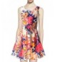 Betusline Sleeveless Printed Chiffon Sundress