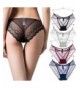 Underwear Peacock Pattern Transparent Lingerie