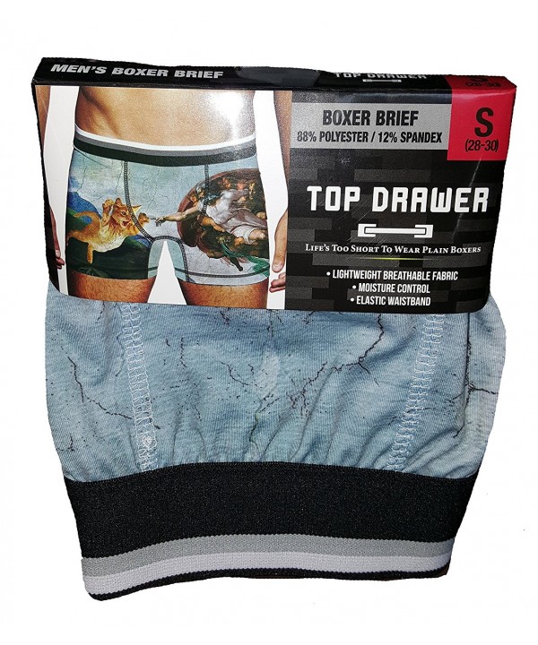 Kitty Sistine Chapel Painting Briefs