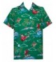 Alvish Hawaiian Shirt Christmas Holiday